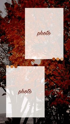 2 photo templates insta stories autumm 2 Photo Instagram Story Ideas, Rose Day Instagram Story, Autumn Story Ideas, Instagram Story Ideas Two Photos, Insta Template Story, Autumn Story Instagram, Background For Insta Story, Photo Layout Instagram Story