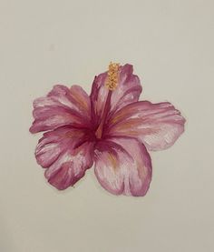 a pink flower on a white background