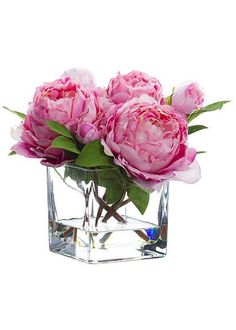 some pink flowers are in a glass vase on a white background with water and green leaves