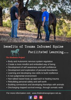 Jobs With Animals, Horse Medicine, Equine Assisted Therapy, Equine Massage Therapy, Horse Healing, Horse Business