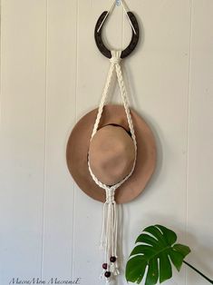 a hat hanging on the wall next to a potted plant with a rope around it