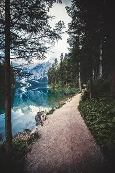 a path leading to a lake surrounded by trees