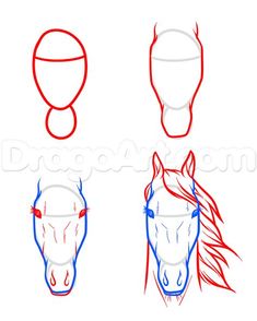 how to draw a horse's head with different angles and haircuts step by step