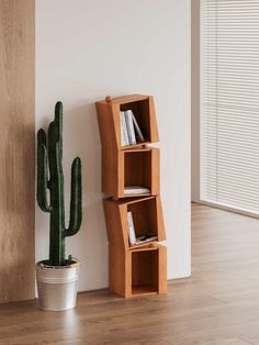 a wooden book shelf next to a cactus in a room with white walls and wood flooring