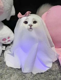 two stuffed animals are sitting next to each other on the floor, one is wearing a ghost costume