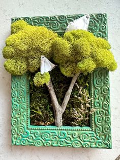 there is a small tree in the middle of this green frame that has been decorated with moss