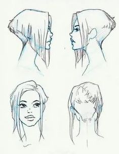 various hairstyles for women with long hair and no headdress, drawn in pencil