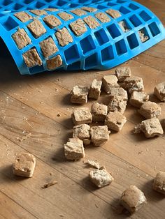 there are many cubes of food on the floor next to a blue plastic container