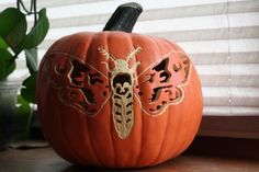 a carved pumpkin with a bee on it sitting next to a window sill and potted plant