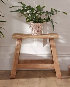 a potted plant sitting on top of a wooden bench in front of a white wall