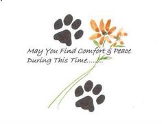 a dog paw print with the words, may you find comfort and peace during this time