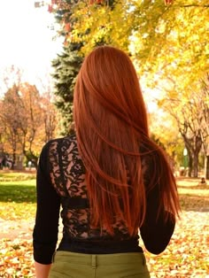 Red Hair Shades is a more like a gallery with many pictures of red hair colors and a great source of... Natural Red Hair Dye, Hair Goals Color, Red Copper Hair Color, Copper Red Hair, Shades Of Red Hair, Natural Red Hair, Dyed Red Hair