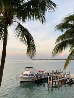 a boat is docked at the end of a pier with palm trees in the foreground