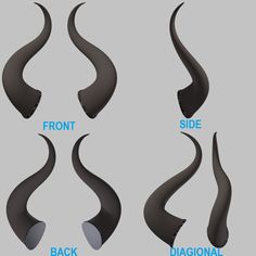 the different types of horns are shown