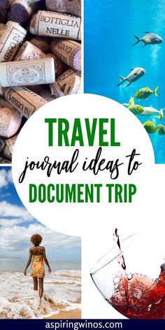 the words travel journal ideas to document trip with images of wine bottles and fish in them