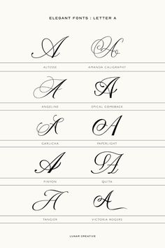 the different types of calligraphy are shown in this font file, which is also used for