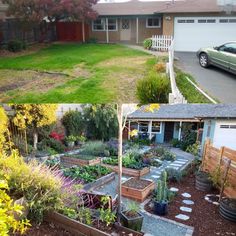 the before and after pictures of a backyard garden