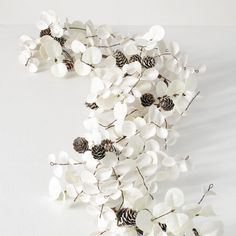 some white flowers and pine cones on a white surface