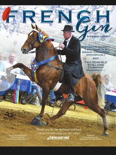 a man riding on the back of a brown horse