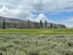 an open field with trees and mountains in the background