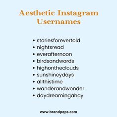 the words aestheticic instagramm usenames are written in different font styles