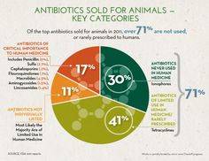 a pie chart showing the percentage of animals that are in an animal's diet