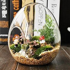 a glass vase filled with plants and rocks on top of a wooden table next to books