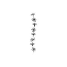 a single flower is shown in the middle of a white background with black and white lines