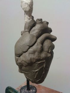 a sculpture of a human heart on a stand