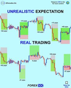 the forex trading system with different levels and options to use for each type of indicator