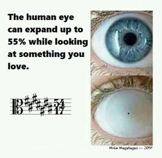 the human eye can expand up to 55 % while looking at something you love