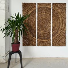 a potted plant sitting on top of a table next to two wooden slices that have been cut into circles