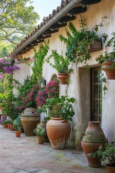 many potted plants line the side of a building