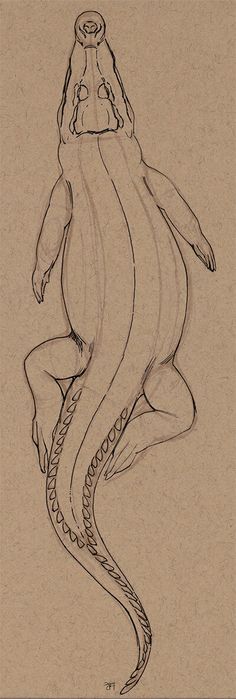 a drawing of a woman with an octopus on her back