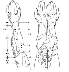 Zu San Li Point Massage, Acupressure Chart, Large Intestine Meridian, Reflexology Pressure Points, Punkty Spustowe, Alternative Medicine Holistic Healing, Pressure Point Therapy, Acupressure Therapy, Hand Reflexology