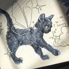 a drawing of a black cat with stars on it's chest and tail, in front of a white background