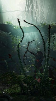 a person with a bow and arrow in the middle of a forest filled with plants