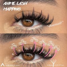 Lash Maps, Lash Map, Lash Mapping, Lash Technician, Lash Growth Serum, Eyelash Tips, Eyelash Technician