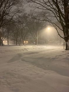 a snow covered street at night with traffic lights and trees in the foreground on a snowy day