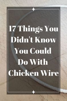 the words, 7 things you didn't know you could do with chicken wire