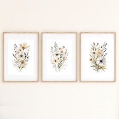 three framed floral prints hanging on the wall