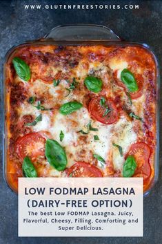 Low Fodmap Italian Recipes, Low Fodmap Lasagna, Traditional Lasagna Recipe, Lasagna Gluten Free, Fodmap Dinner, Fod Map, Fodmap Food