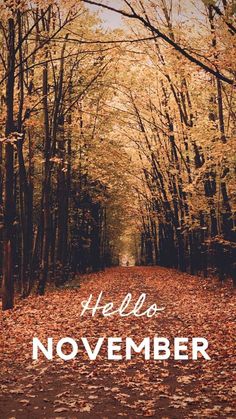 the words hello november are written in front of an image of leaves on the ground