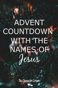 a christmas tree with the words,'adventnt countdown with the names of jesus '