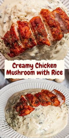 creamy chicken mushroom with rice on a white plate