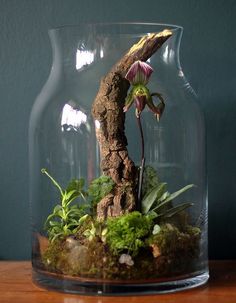 a glass vase filled with plants on top of a wooden table