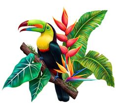 a toucan sitting on top of a tree branch surrounded by tropical leaves and flowers