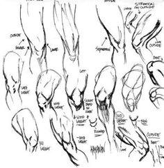 some drawings of horses with their heads and legs showing the different positions they are doing