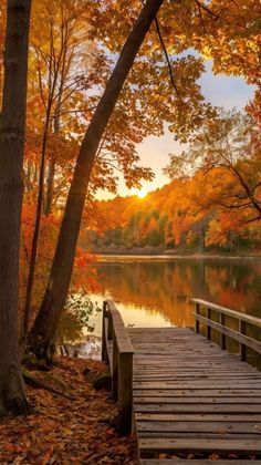 a wooden dock sitting next to a lake surrounded by trees in the fall time with leaves on the ground