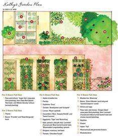 a garden plan with lots of different plants